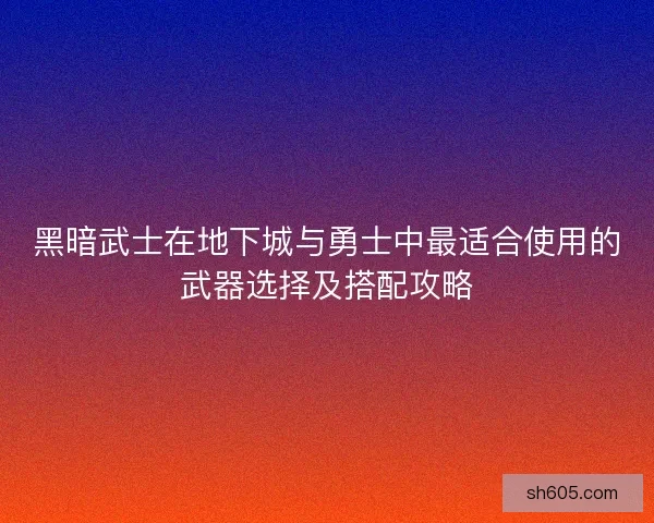 黑暗武士在地下城与勇士中最适合使用的武器选择及搭配攻略